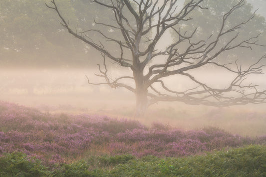 FOTOWANDELING KAMPINA