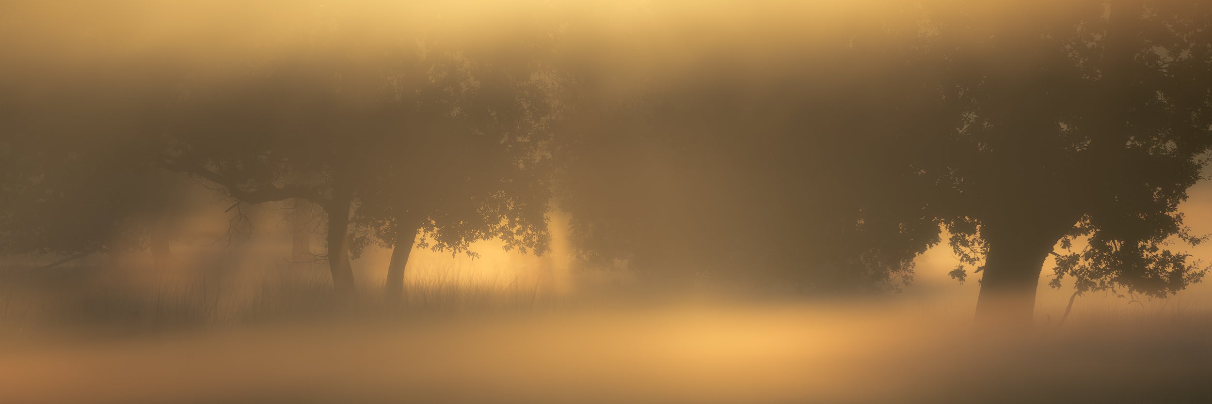 THIS WAY_DRUNENSE DUINEN 2