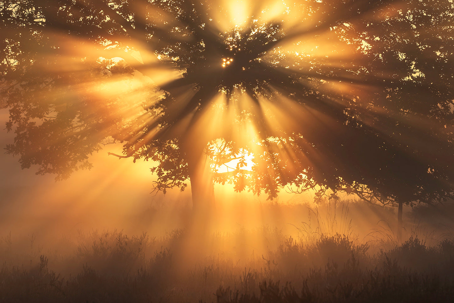 WORKSHOP LANDSCHAPSFOTOGRAFIE