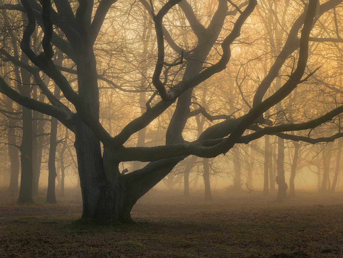 WORKSHOP BOS FOTOGRAFIE